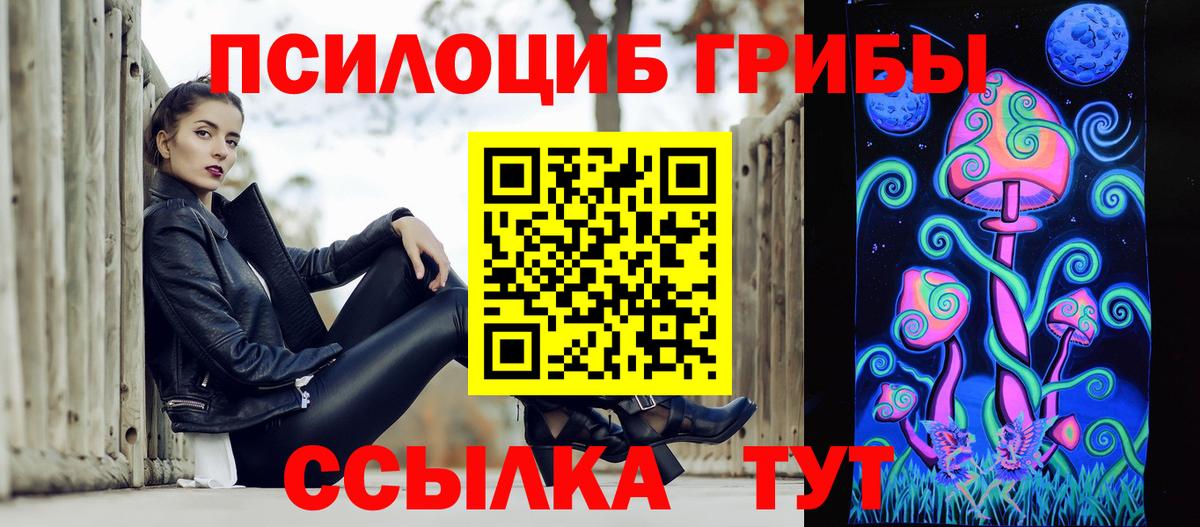 Галлюциногенные грибы прущие грибы Кинель